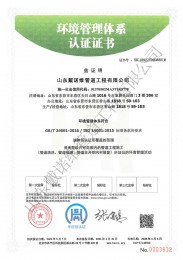 环境管理体系中文